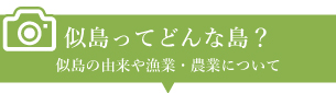 似島ってどんな島?似島の由来や漁業・農業について