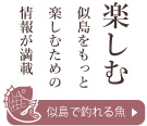 似島で釣れる魚。似島をもっと楽しむための情報が満載