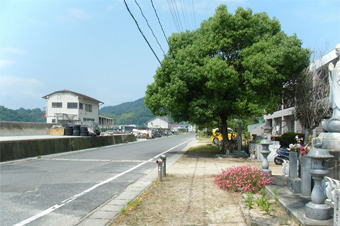 平和の散歩路